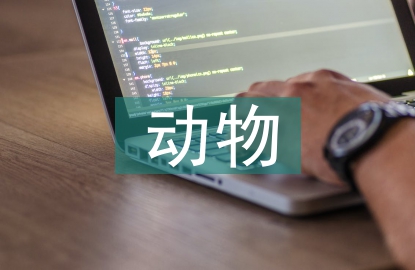 流浪动物的处境