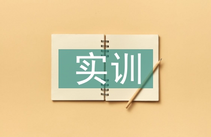 计算机实训心得体会