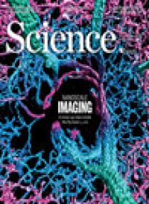 科学