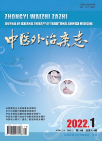 中医外治期刊
