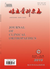 临床骨科期刊