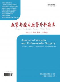 血管与腔内血管外科期刊