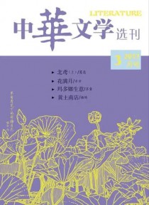 中华文学选刊