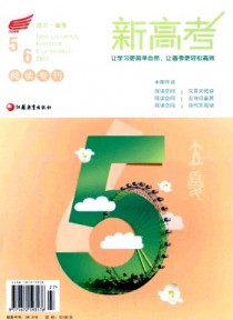 新高考·语文备考期刊