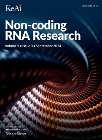 Non-coding Rna